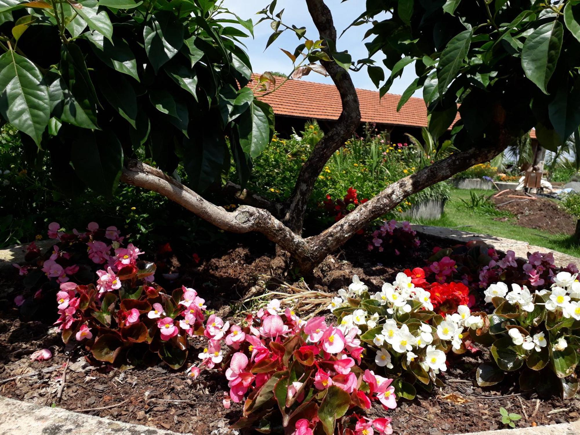 Parque Paraiso Das Flores أولامبرا المظهر الخارجي الصورة
